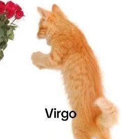 yoonheehe's profile picture. nope 생각??? 왜?