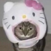 Sam (@samespinosao) 's Twitter Profile Photo