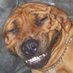 chooch skookum (@choochskookum) Twitter profile photo chooch skookum (@choochskookum) Twitter profile photo
