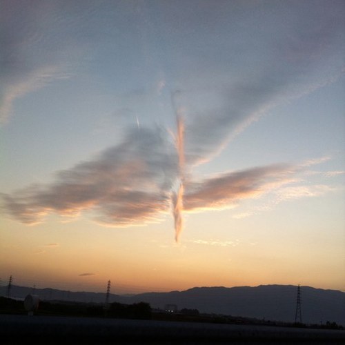 okei_b's profile picture. 