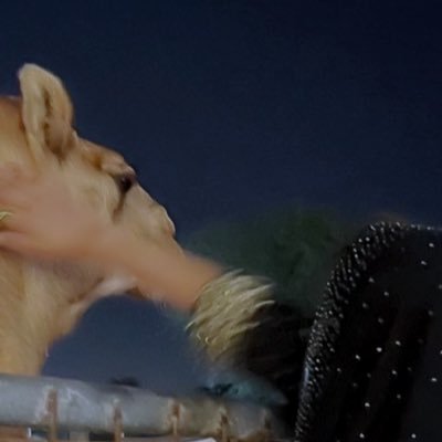 MBS0307's profile picture. —{ لا يلحقگ في . . حبّ مغليگ شكّه.. 🖤~