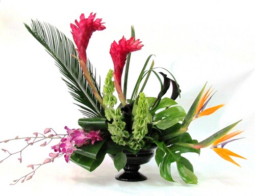 We are the 2011 Diamond Reader's Choice Award winner. We specialize in bonsai trees and tropical air plants. We are also a very unique and beautiful florist.
