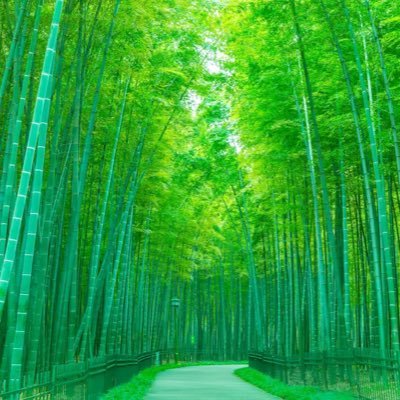 '05(20) |日本らしい日本を守りたい|日本ファースト|移民政策に反対|参政党サポーター|フォロー歓迎|#日本ファースト #積極財政