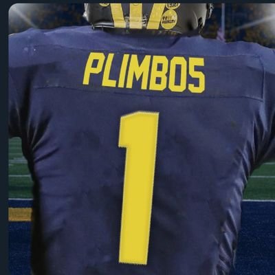 plimbo5 Profile Picture