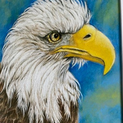 paisleylizard1's profile picture. Patriotic Christian Artist