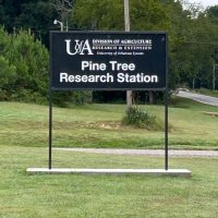 Pine Tree Research Station (@stationpine) 's Twitter Profile
