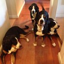 Sue Keyes - @sueqkeyes - Twitter