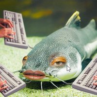 cat fish cat fish (@bey0ndscrapple) 's Twitter Profile