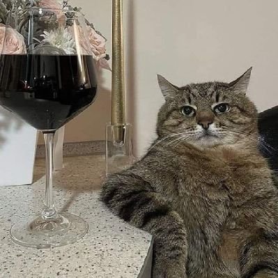 BreikyTmt's profile picture. 