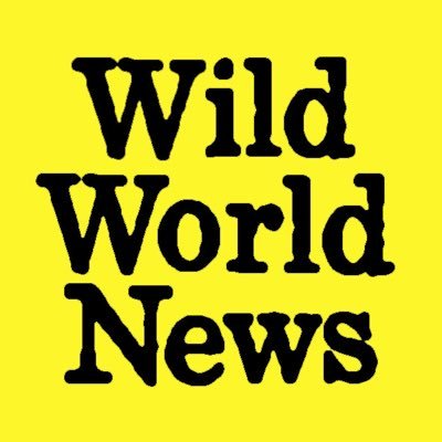 wildworldnews Profile Picture