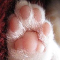 Tracy 🇺🇸 (@tracyjhoban) 's Twitter Profile Photo