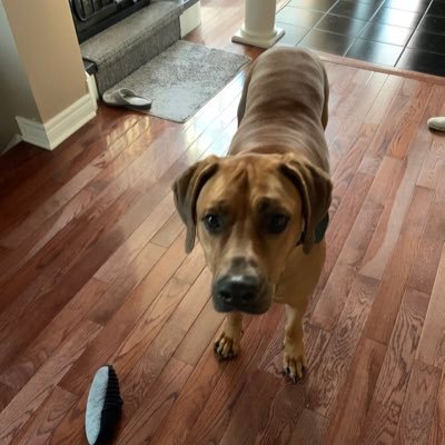 smyth_mari's profile picture. 