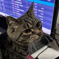 ゴール•D•ヒロ👑 (@fxcfd20) 's Twitter Profile
