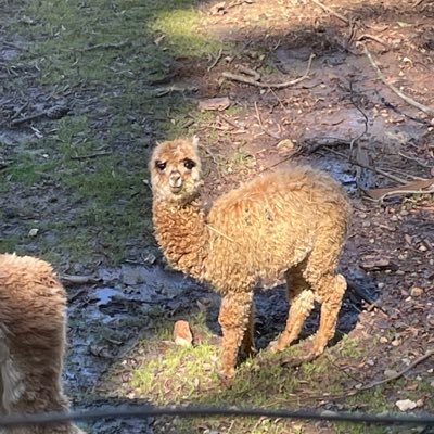 Jen_Rojas's profile picture. 