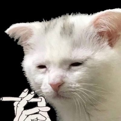 dirtydingleB's profile picture. 