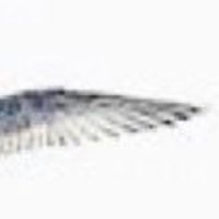 durex (@durex_gob) 's Twitter Profile