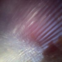 へのはのもはしま (@1ydk2ydk) 's Twitter Profile