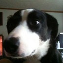 Greg Boylan - @Gregky1 - Twitter