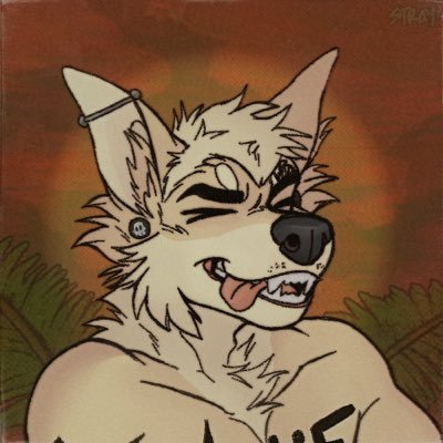 Grom 🐕 chihuahua furry livin’ in southern california 🏝️🔥 bi/🏳️‍⚧️/ 5ft 1 🐾 Austin (human account - nsfw): @antifabussy