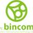 bincomict's profile image