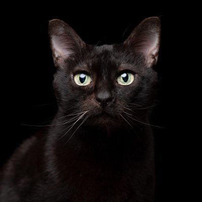 DivyaSr31820987's profile picture. My life is truly sufficient