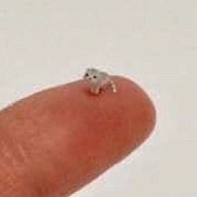 Yoi11020136's profile picture. ㅠㅠ.