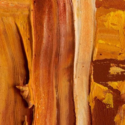 JordanWils81029's profile picture. 