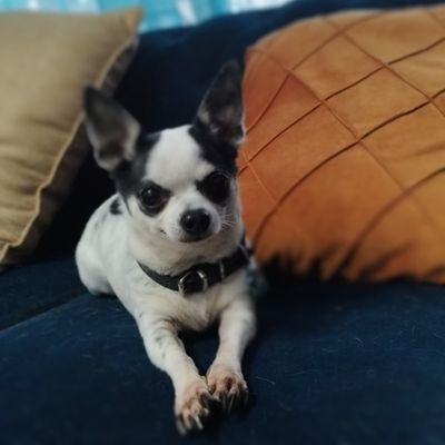 jgpile's profile picture. Madre de Jean Pierre