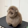 tobitachinchi's profile picture. メインと青春で料亭を経営させてもらってるマスターです😊スカウトでは無いので直接面接可能ですよ🙆‍♂️✨️何店舗か経営してる為希望の通りに座る事も可能です👌女の子が働きやすい環境作りを毎日全力で頑張っております‼️‼️体験や面接可能なので 是非dmにてお問い合わせ下さい❕#飛田新地求人 #飛田新地求人募集