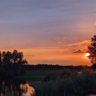 Fabiastico0's profile picture. 