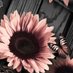 Princess Guveya (@guveyaprincess) Twitter profile photo Princess Guveya (@guveyaprincess) Twitter profile photo