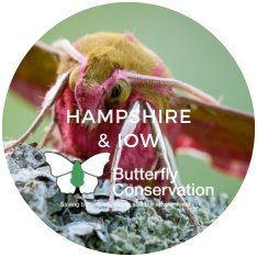 Hampshire and Isle of Wight Butterfly Conservation.