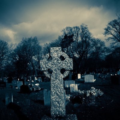 meshlift1's profile picture. 