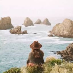 leseresl89533's profile picture. Travel the world and see the scenery.