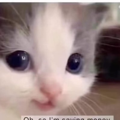 mccallme1993's profile picture. 