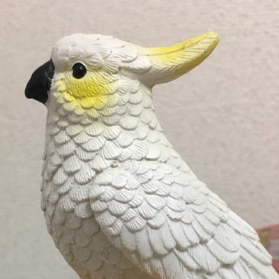 ペンシルパズル作成が好きな人。気の向くままにお仕事したり遊んだりの毎日を満喫してます。Pythonの勉強始めました(24年9月〜)/ヤジリン・∀人∃HEYA・へやわけ/フランス語検定2級・色彩検定3級・危険物取扱者甲種/ピアノ・コーヒー・鳥