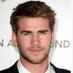 Liam Hemsworth (@hemsworth50597) Twitter profile photo