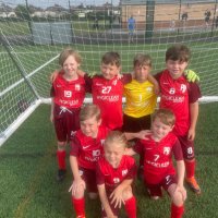 Woolton Cruzeiro (@platinumbenfica) 's Twitter Profile Photo Woolton Cruzeiro (@platinumbenfica) 's Twitter Profile Photo