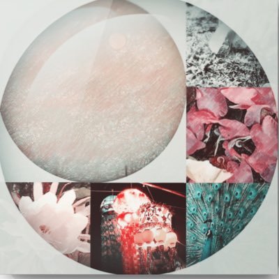 cotori_rin's profile picture. 短歌などを…ことりりおです。NHK短歌枡野浩一選特選一席/NHK短歌木下龍也選入選/たにゆめ杯5中野功一選乾杯から日本酒賞/ドラえもん短歌コンテスト2025枡野浩一選入選/カクヨム短歌の秋第2弾宇野なずき選入選