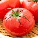 実家暮らしじゃ無くなったトマト🍅さんのプロフィール画像