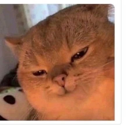 locofiaat's profile picture. Tango uno.
Crypto.