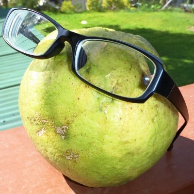 生来の根無し草。ニュージーランド生活を終えて、日本で就活中。
大学院→青年海外協力隊→ニュージーランドでワーホリ→日本で農家→再びニュージーランド→日本。農業と国際協力はガチ。
