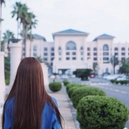 MTeyte49552's profile picture. Travel the world and see the scenery.