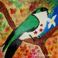Amilsa Laila 3(@3Amilsa) 's Twitter Profile Photo