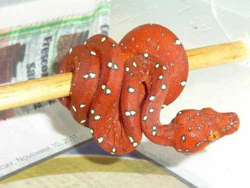 TyePrater's profile picture. 