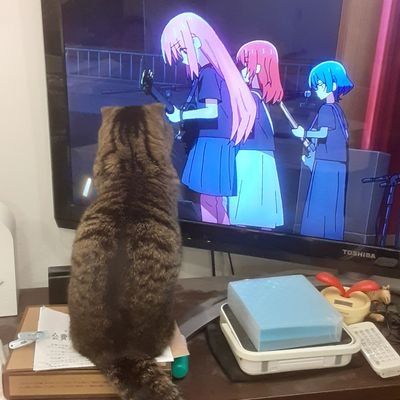 Chikuwabu_kd's profile picture. 