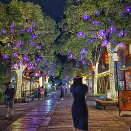 peesush39929's profile picture. Travel the world and see the scenery.