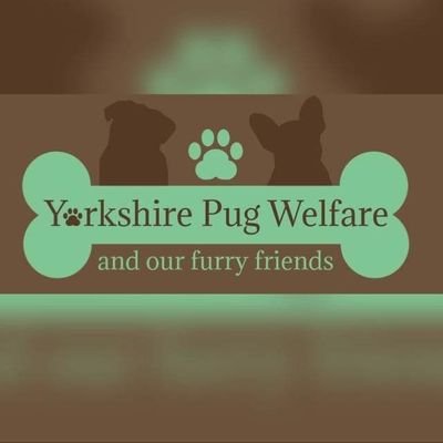 We are a group of individuals who fundraise for animal charities