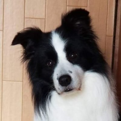 hitohamigoro18's profile picture. 