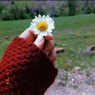 Deryazemerya's profile picture. Nefel🕊 @amedskofficial  @berazimehmud

Navî wan bexçî gulan ke hezar dil